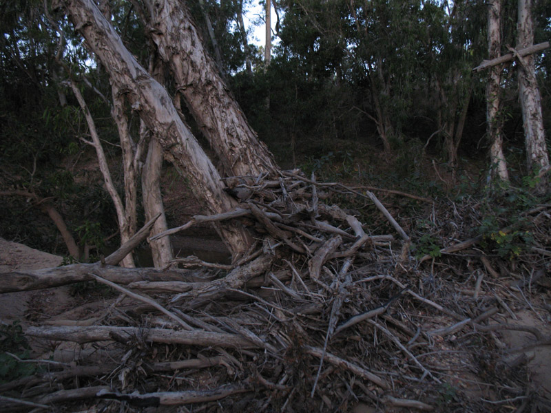 Lakefield National Park - Walkabout